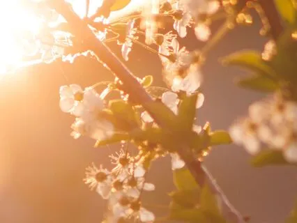 Attract Prosperity: Daily Wealth Affirmations