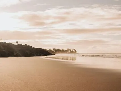 Attract Prosperity: Manifest Wealth, Success & Happiness