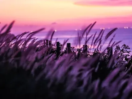 Attract The Life You Secretly Dream Of | Sleep Affirmations