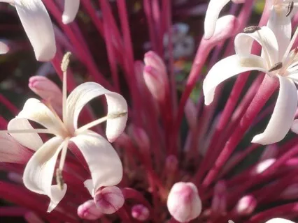 Attract The Love That’s Meant For You