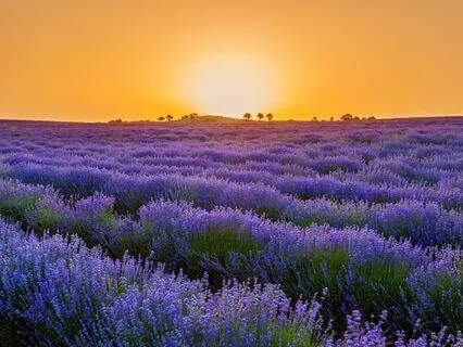 Attract What You Desire With 528 Hz Tuning Fork