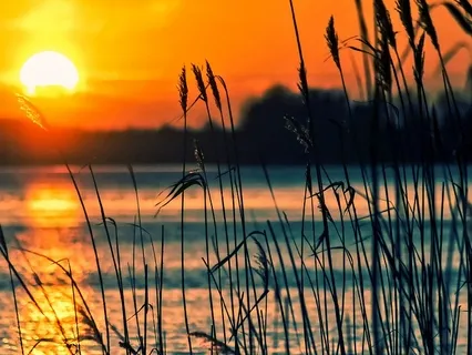 Attract Your Dream Life And Live On Purpose 