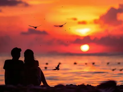 Attract Your Ideal Partner | 528 Hz The Love Frequency