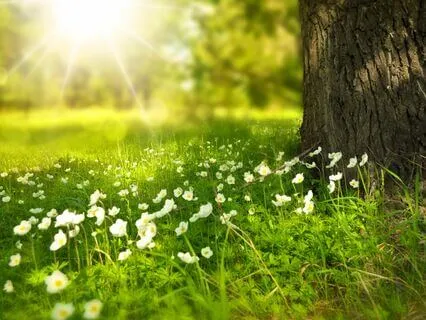 Attract Your Soulmate Meditation