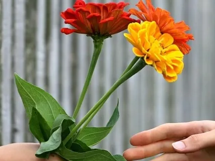 Attracting Healthy Relationships 