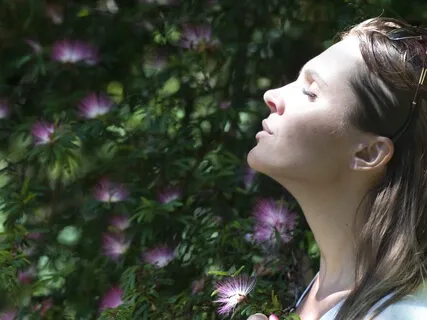 Attune To Alignment Of Christ Consciousness 