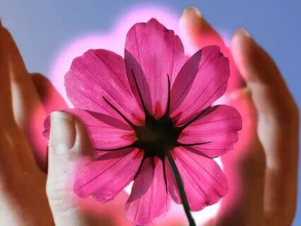 Attune To The Energy Of Love