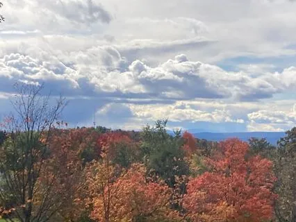 Attune To Your Breath