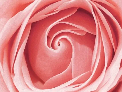 Attune To Your Intuitive Heart