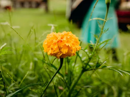 Attune Yourself Mystic Meditation Music