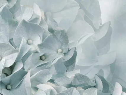 Attuned Touch: A Brief IFS Check-In