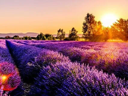 Attuning To Your Inner Season