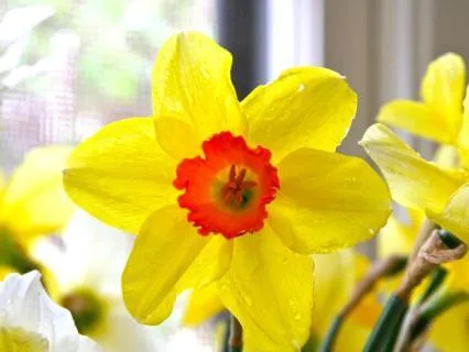 Attuning To Yourself (With Music)