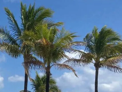 Connect With Your Intuition By Listening To Your Ajna Chakra