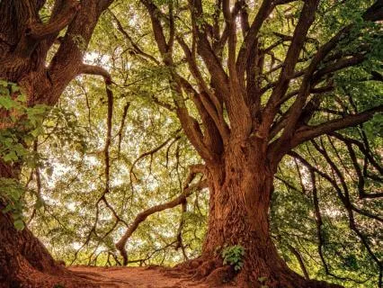 A Binaural Shamanic Journey