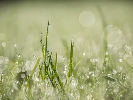 Audioterapia - Som da Chuva - Alívio da Ansiedade e Insônia