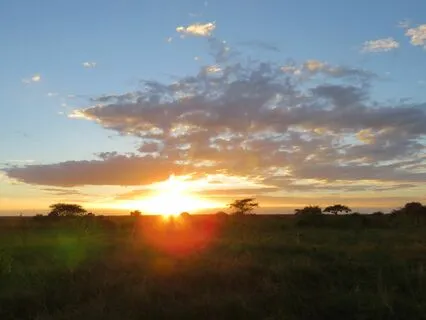 Nature's Orchestra With Slow Drum Groove