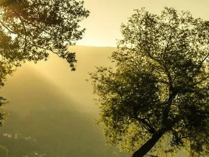 August Ascension Forecast : Embodied Spiritual Abundance