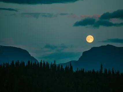 August Sturgeon Full Moon Meditation