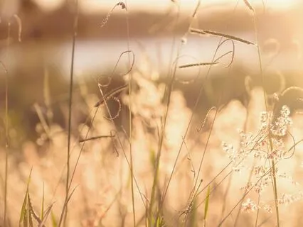 Increase Your Energy and Mental Calm