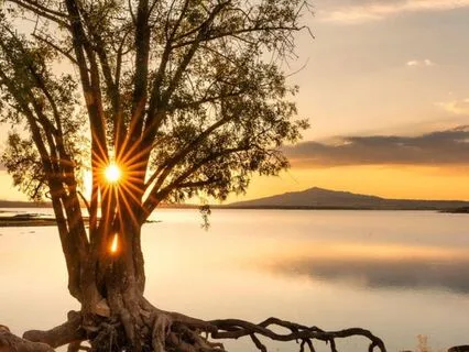 Aura Cleansing With The Language Of Sunlight