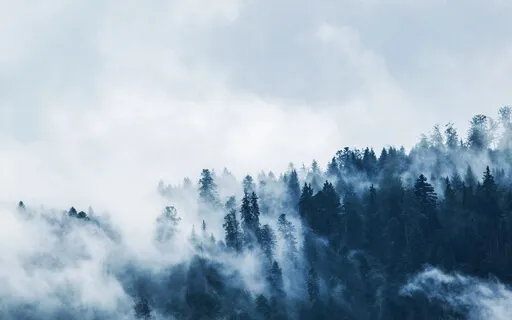 Aura Detox And Dissolve Toxins (528Hz)