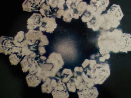 Aural Transmission - #13 Water Of Lourdes