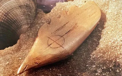 Aural Transmission - #7 Whale Wisdom