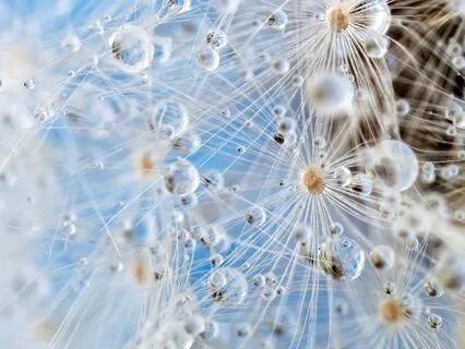 Auric Energy Field: Balancing & Clearing Sleep