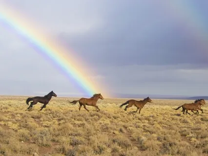 Authentically You: Shedding Your False Self