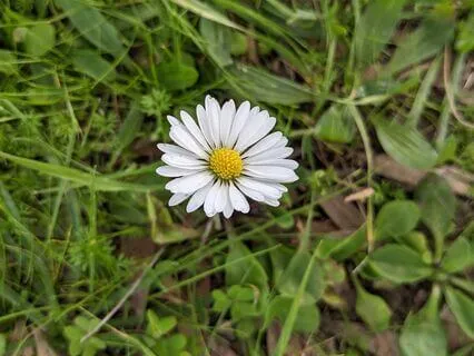 Authenticity | Mindful Motivation