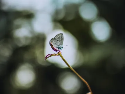 Authenticity – Positive Affirmations