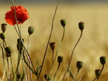 Authenticity Talk For Meeting People