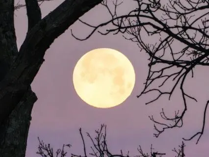 Authoring Hope: Full Moon Journalling