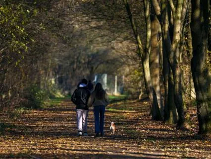 Autistic Relationships: Yours Are Already Working
