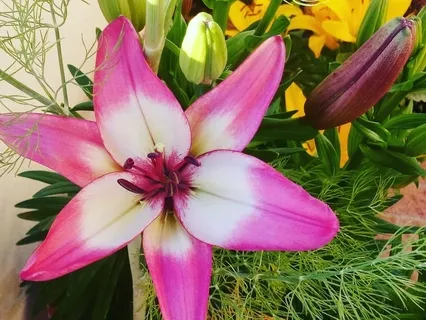 Auto-Aceitação com Reiki