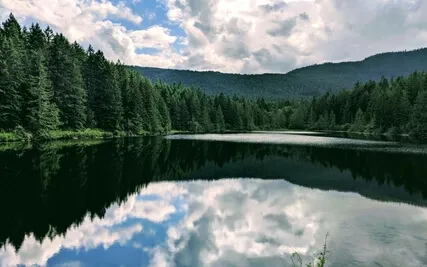 Autogenic Phrasing For Deep Relaxation