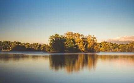 Autogenic Relaxation Practice