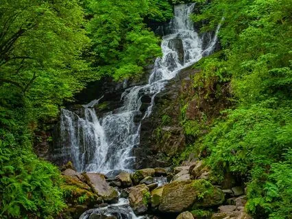 Autogenic Training Mindfulness Relaxation