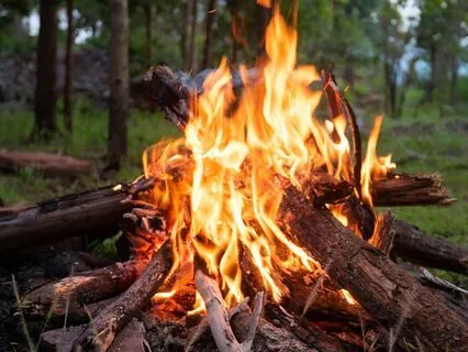 Autumn Camp Fire Ambience Nighttime Wolf Howling Birds| 2 Hr