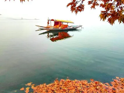 Autumn Celebration Flow