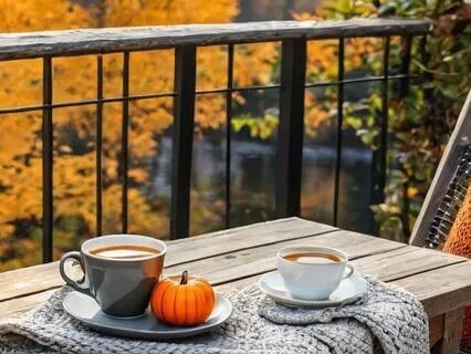 Autumn Chill | 9 Min Retreat For Balance And Rest