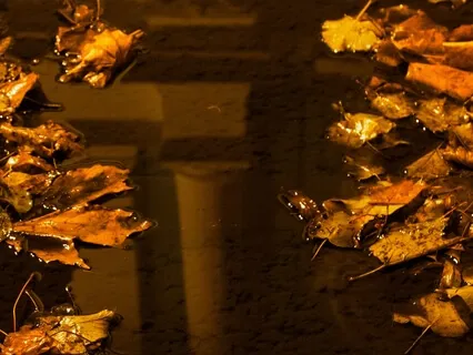 Autumn Cruise | Calm Sleep Story With Fire Sounds