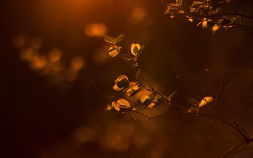 Autumn Delight At The Dog Cafe | Sleep Story