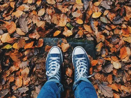 Autumn Equinox - A Meditation