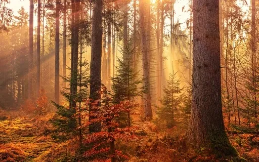 Autumn Equinox: A Season Of Harvest And Release