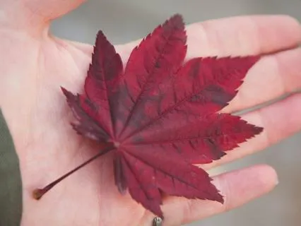Autumn Equinox Activation - Return To Center