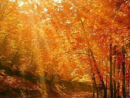 Autumn Equinox Affirmation Subliminal (Alpha 10 Hz)