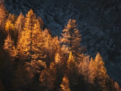 Autumn Equinox: Balance In Transition