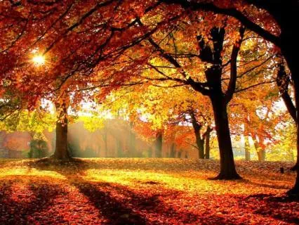 Autumn Equinox: Gratitude, Release, & New Beginnings